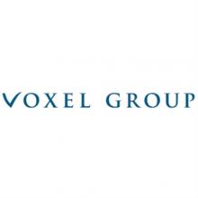 Voxel group